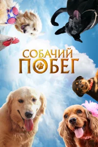 Собачий побег 